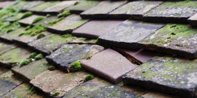 Onecote roof repair costs